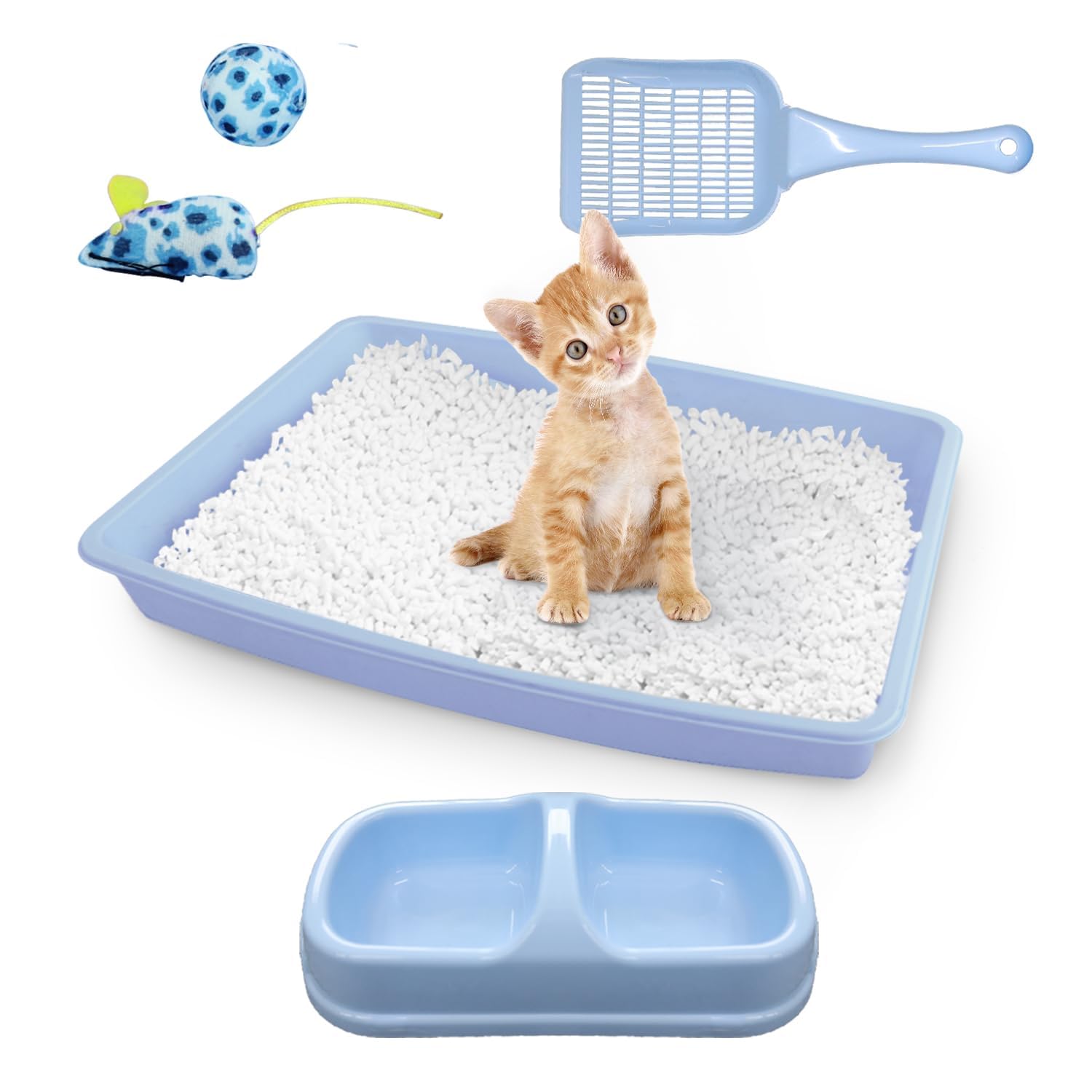 PAWISE cat litter box front entry for tiny kittens, easy access.