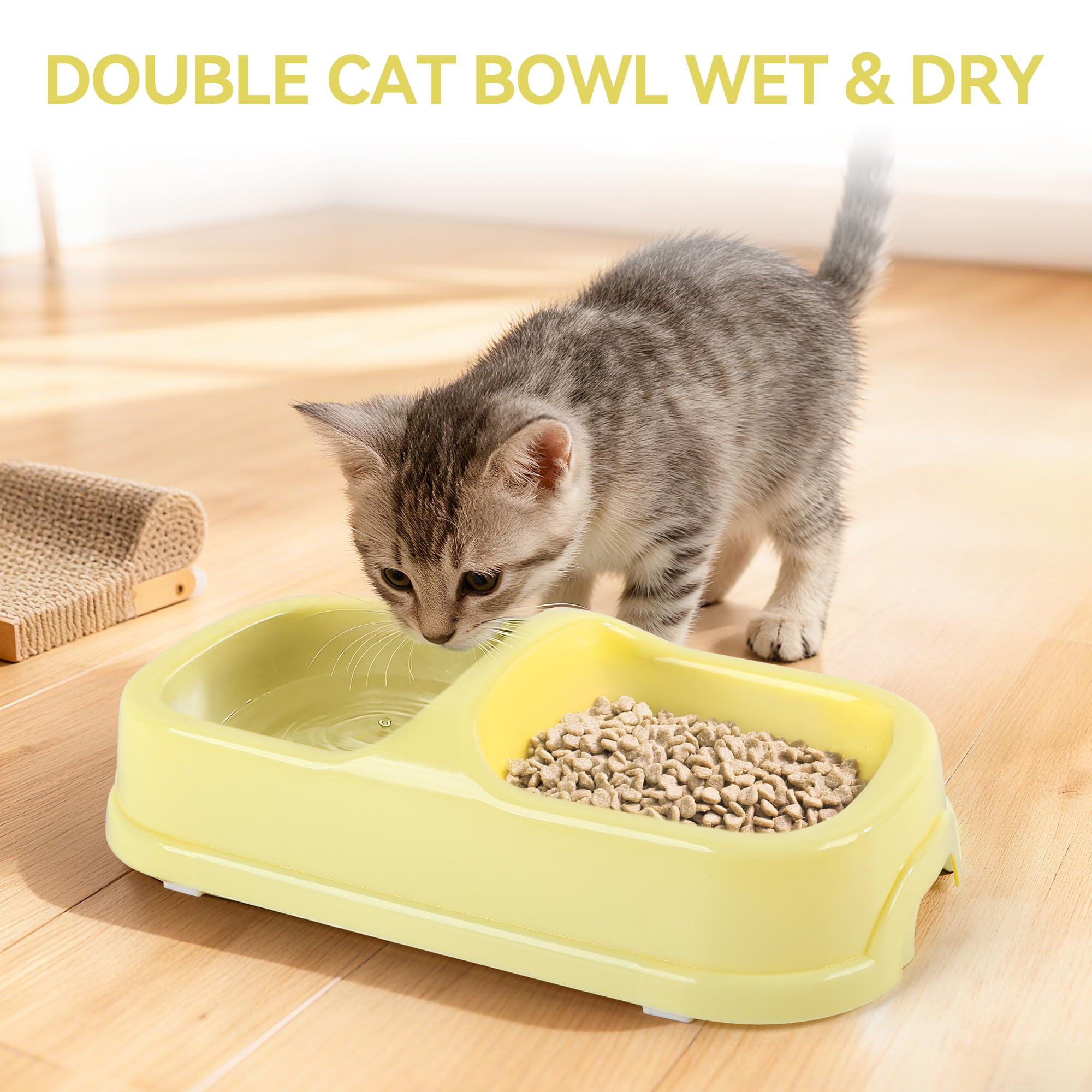 PAWISE kitty ball toy for interactive kitten enrichment