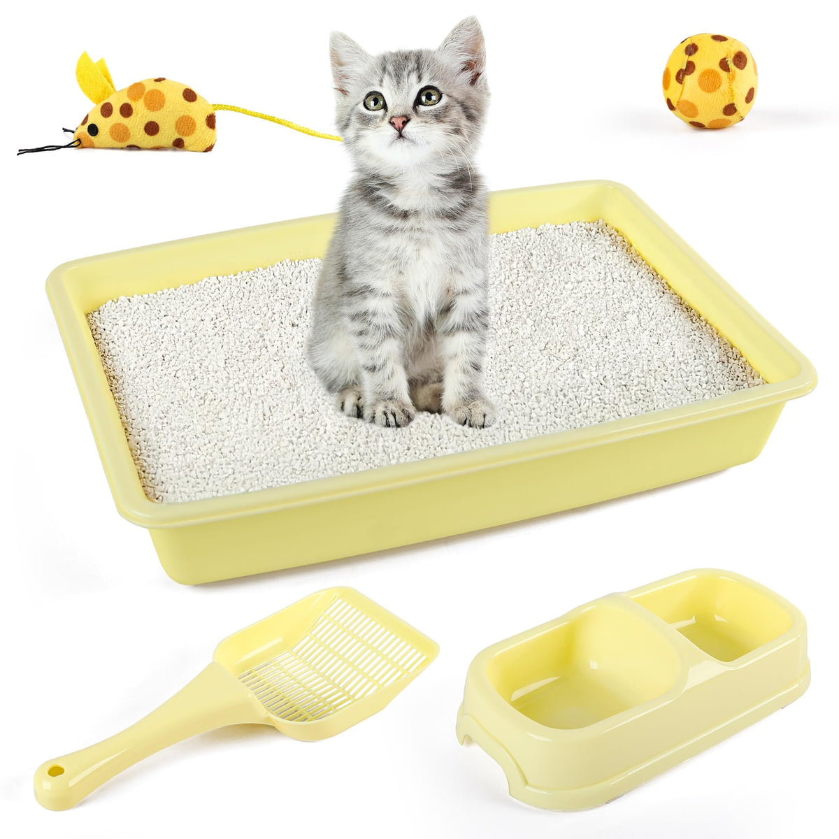 PAWISE litter box with kitten starter kit for easy access and clean setups