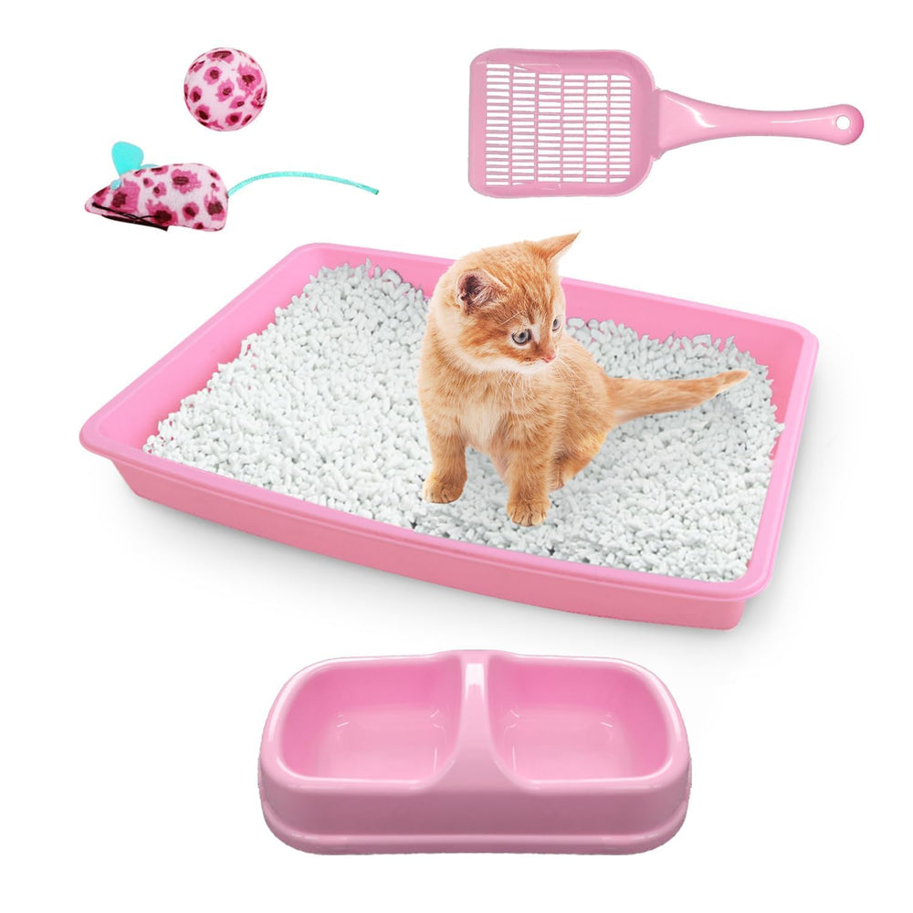PAWISE cat litter box with low entry for easy kitten access