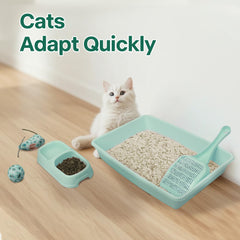 PAWISE cat mouse toy and ball set to entertain curious kittens