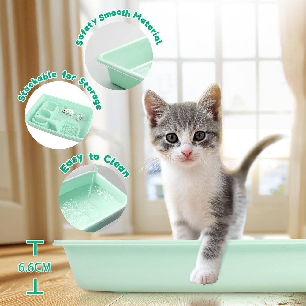 PAWISE cat mouse toy to stimulate indoor play