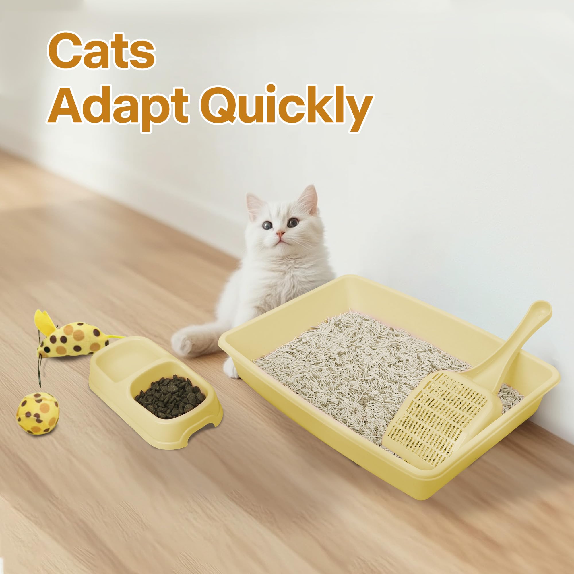 PAWISE cat toy set featuring mouse and ball for play and training