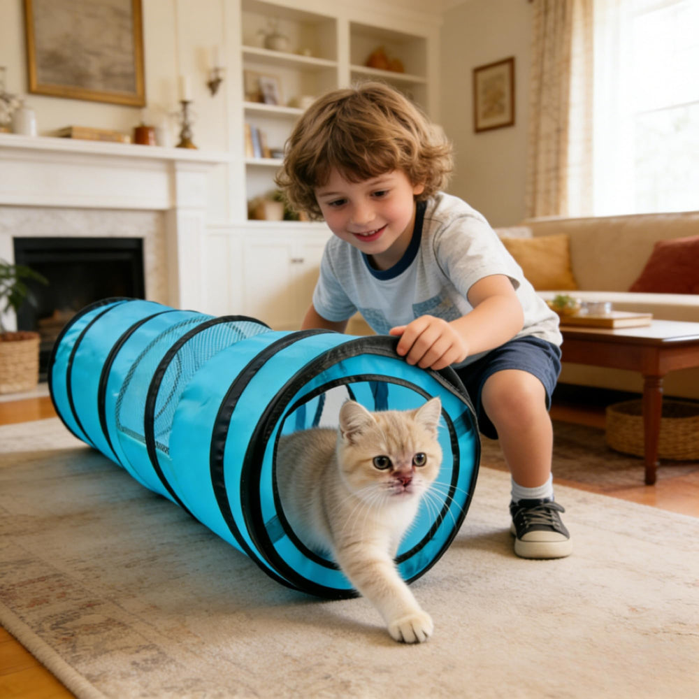 PAWISE Cat Tunnel folds flat quickly for easy storage between sessions.