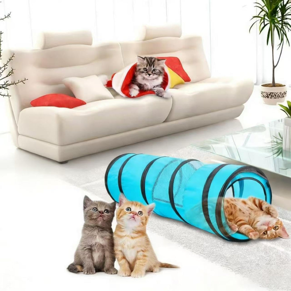 PAWISE Cat Tunnel supports multiple pets for shared enrichment.