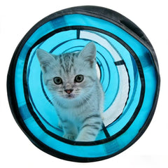 PAWISE Cat Tunnel peek hole lets cats observe surroundings during interactive play.