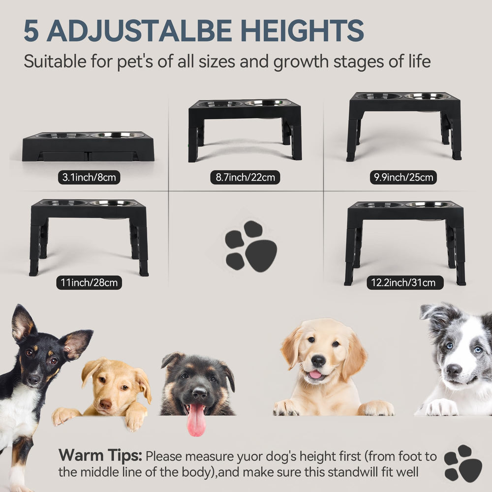 PAWISE elevated dog bowls stand adjustable heights for flexible feeding across sizes