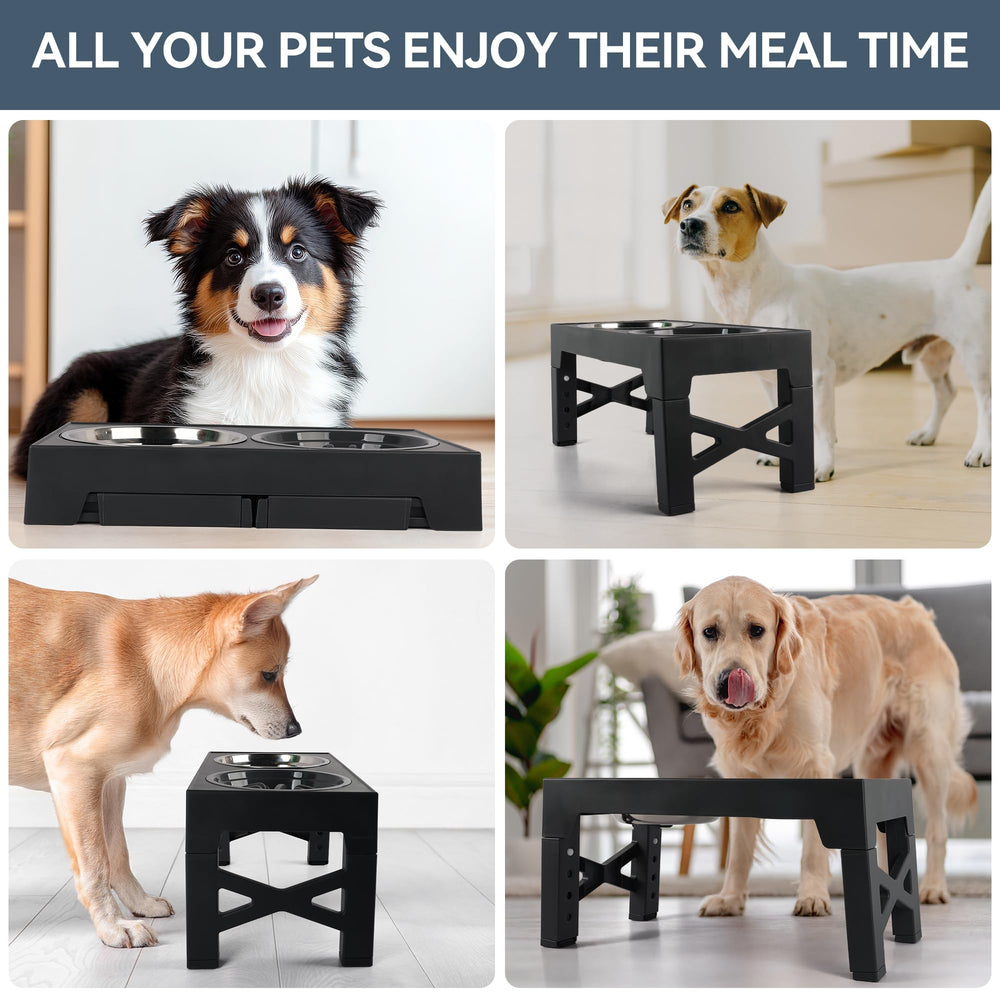 PAWISE elevated dog bowls three bowls included for various meal types including slow feeding