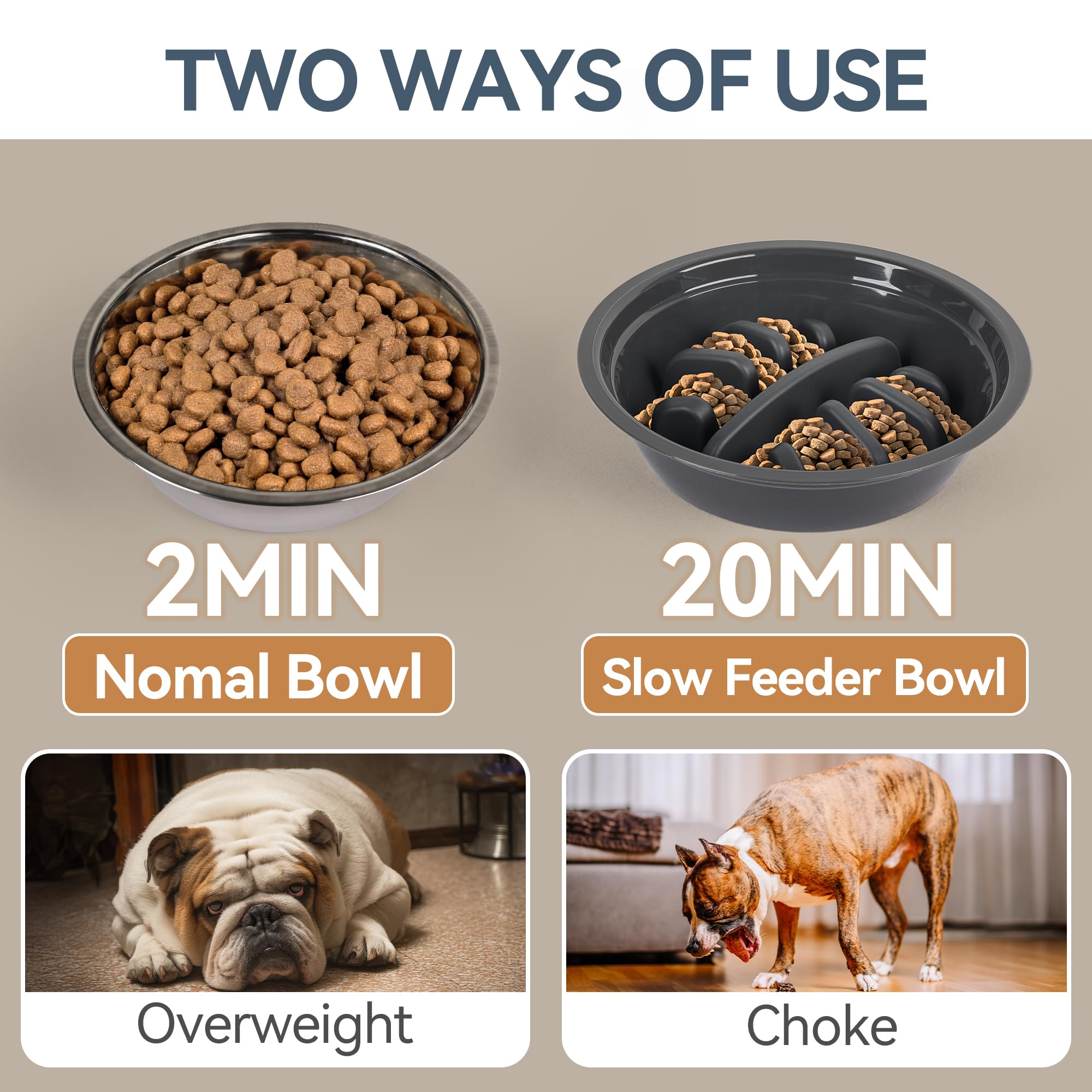 PAWISE stainless steel bowls highlight durability and dishwasher-safe convenience