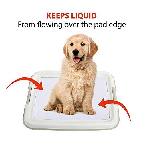 PAWISE floor-protection tray keeps floors dry and protected.