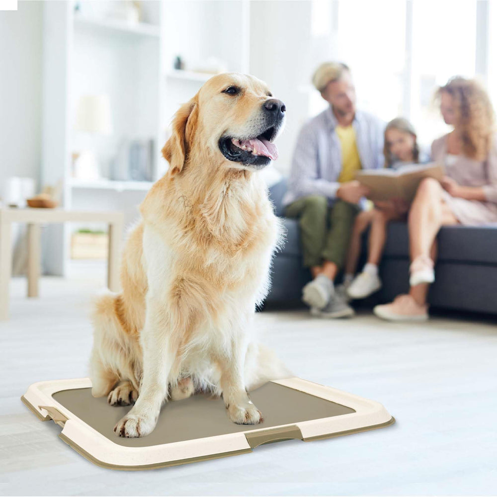 PAWISE frame prevents pad slipping and deters chewing for cleaner spaces.