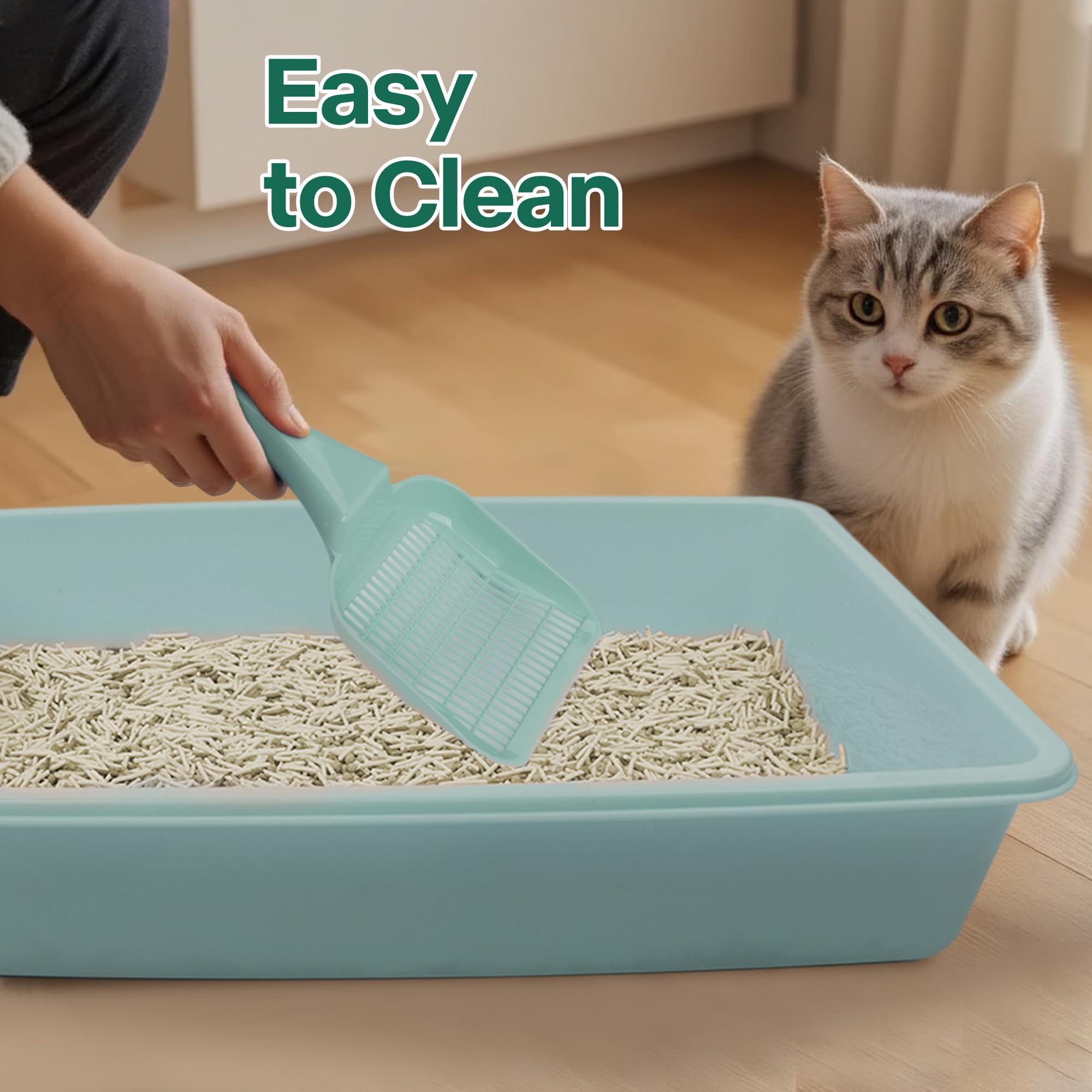 PAWISE green kitten bowls add practical color to mealtime