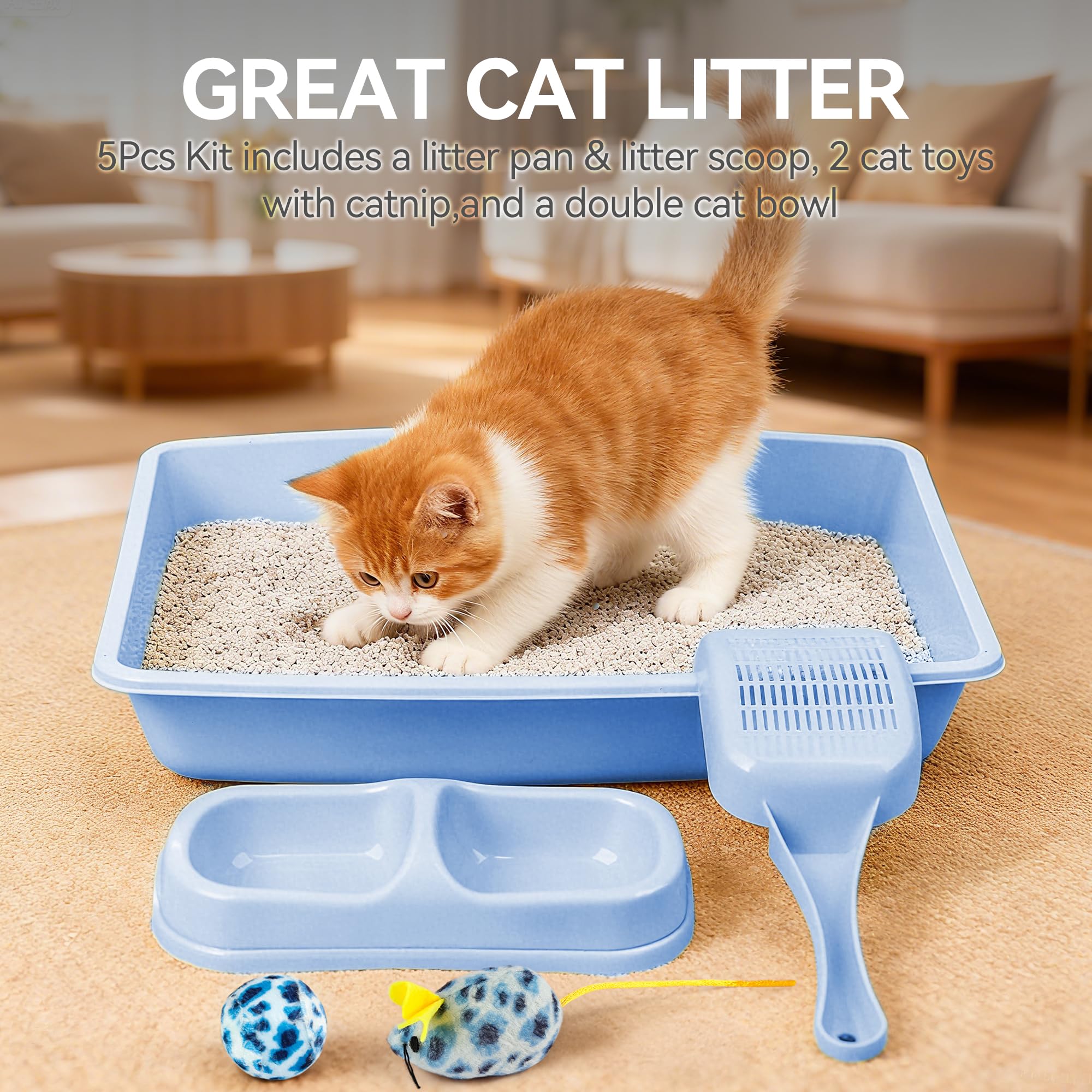 PAWISE kitten feeding bowls set kept neat with two compartments