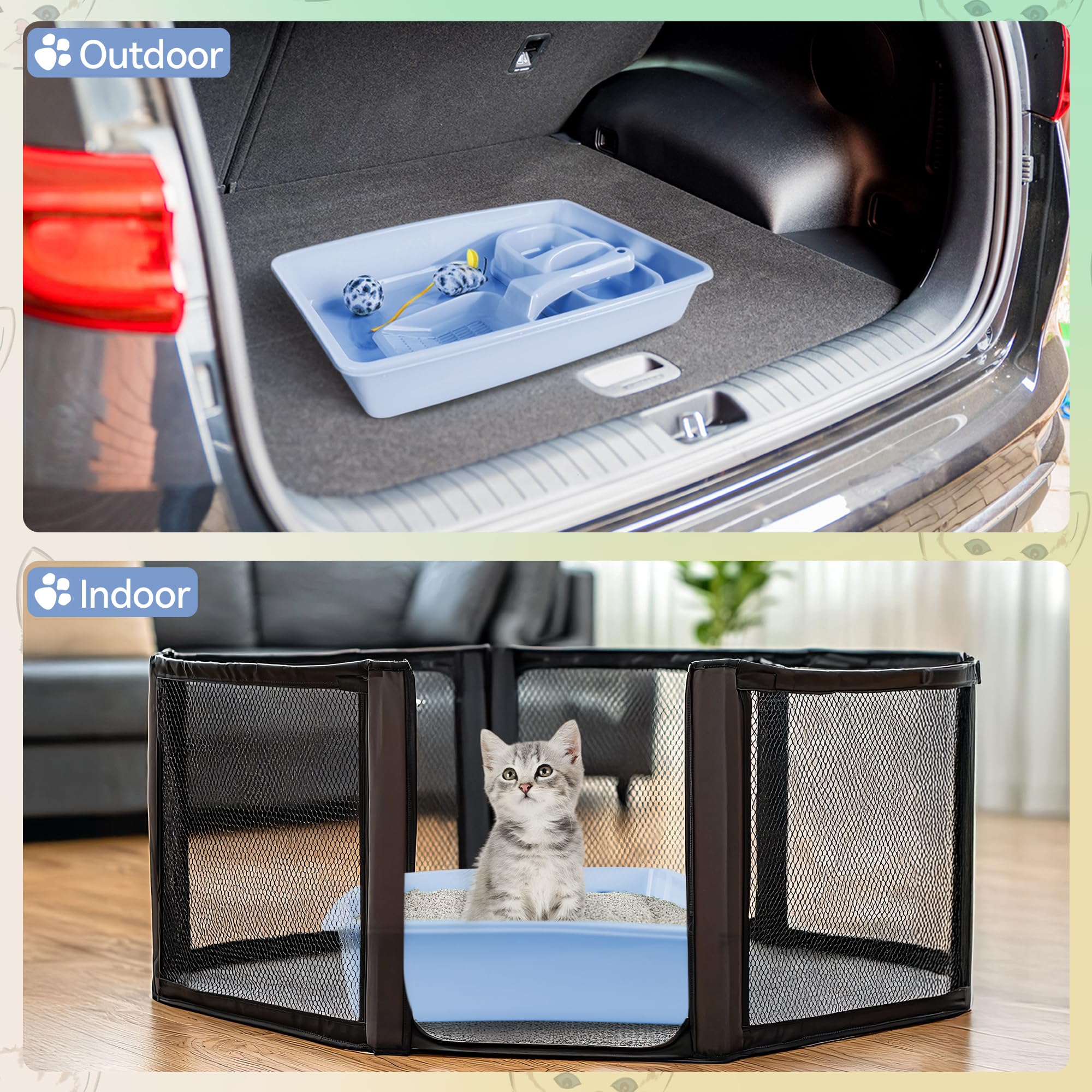 PAWISE kitten starter kit packaging displays all included items.