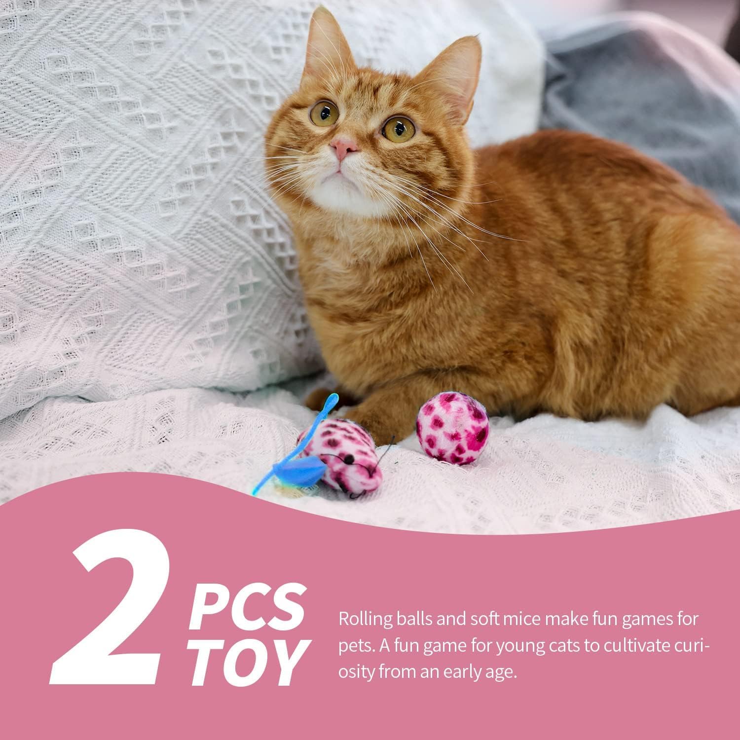 PAWISE pink bowl set packaging, shows complete starter kit contents.