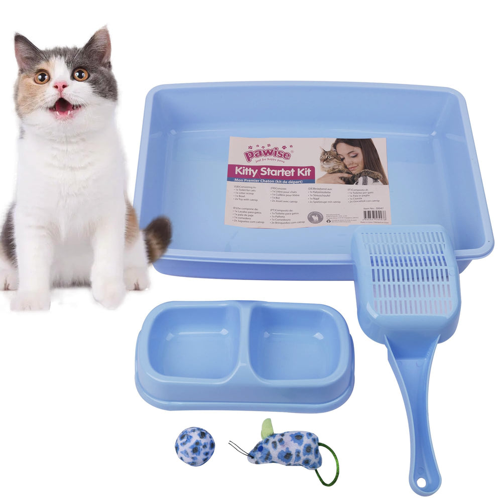 PAWISE small cat litter box in blue for tiny kittens, easy access, and clean spaces.