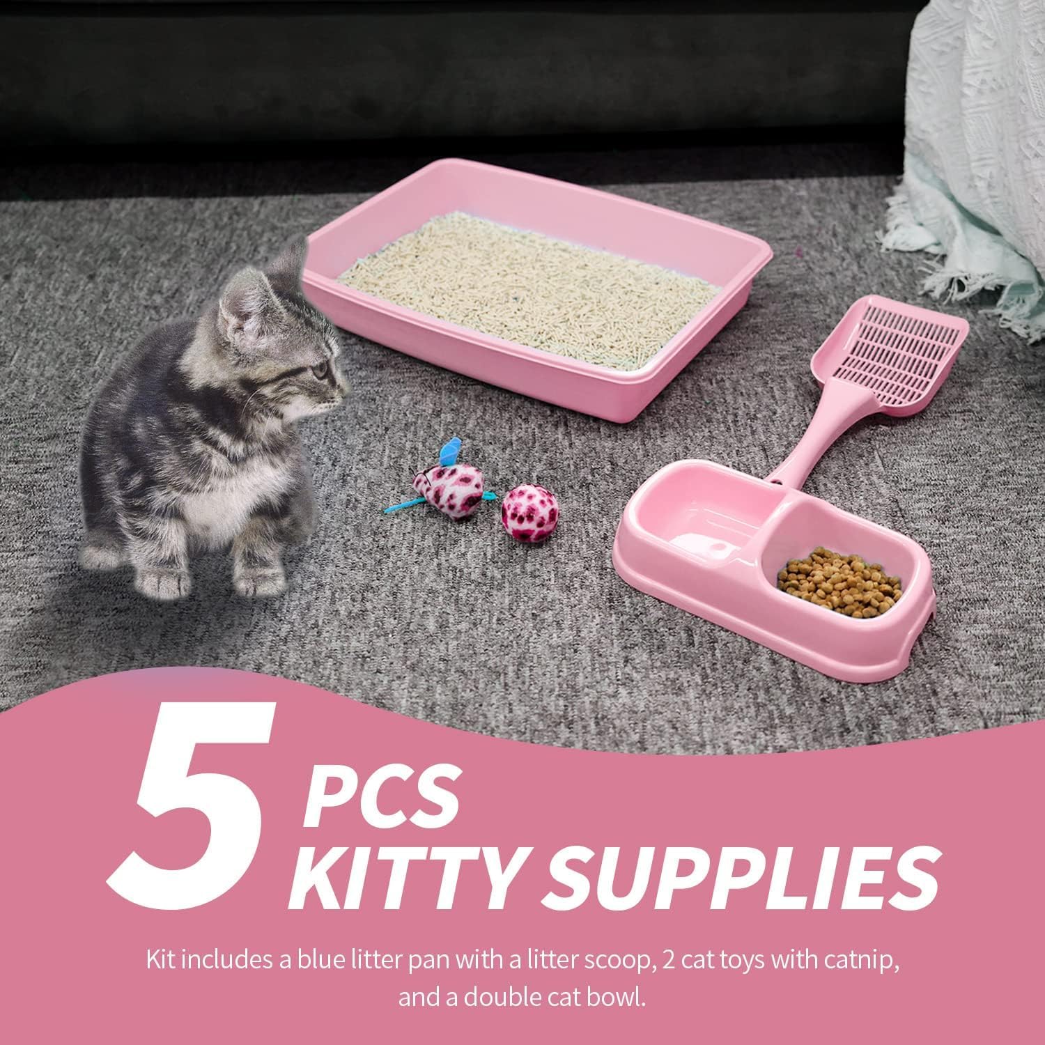 PAWISE starter kit for new cat households