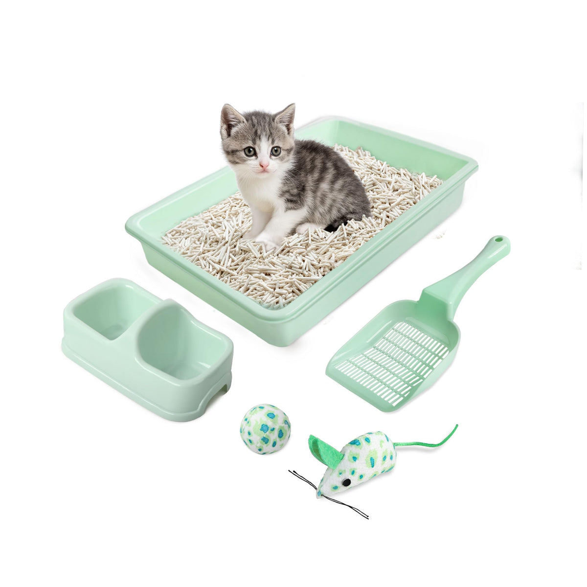 PAWISE top-entry litter box designed for tiny kittens with easy access