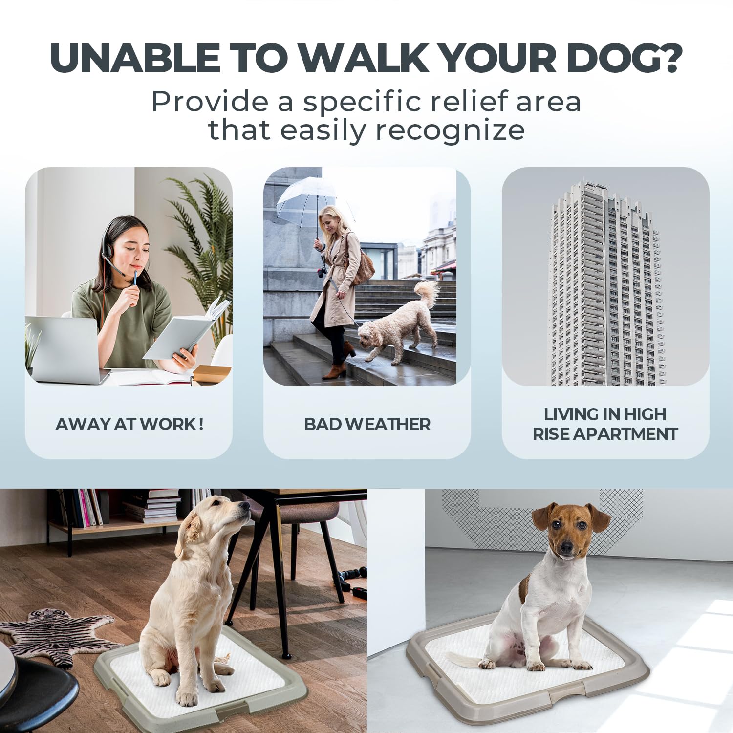 PAWISE tray works indoors or outdoors for flexible training setups.