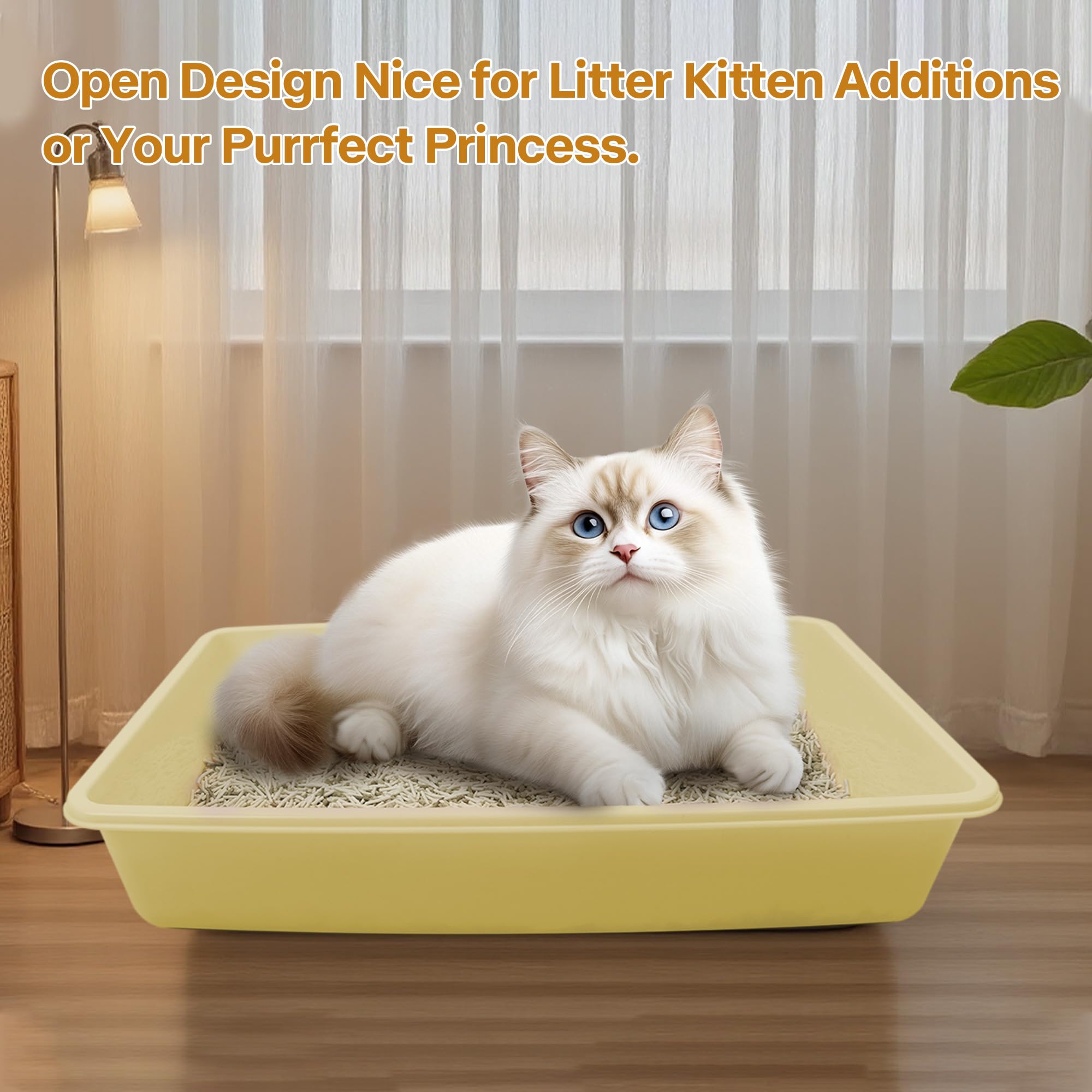 PAWISE yellow starter kit contents shown for new kitten homes