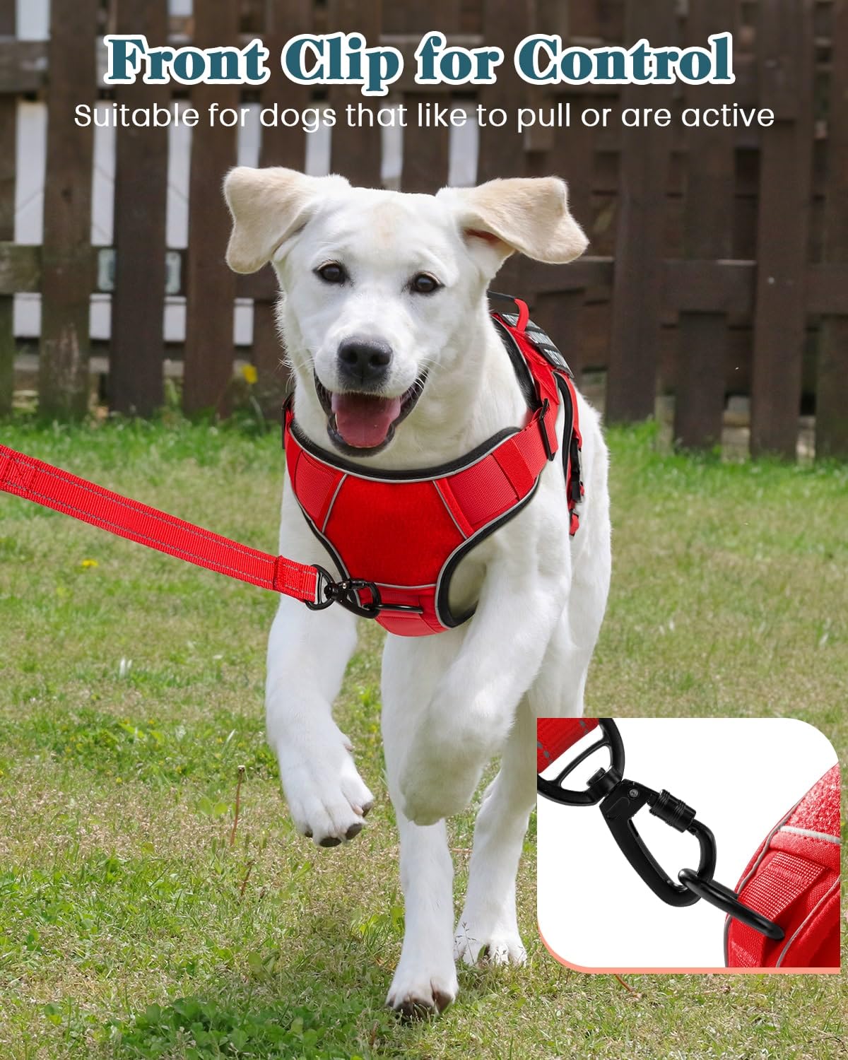 PawistaPal harness features six patches for easy personalization and training cues