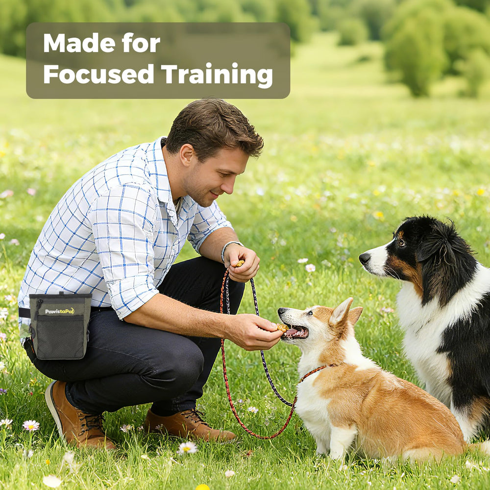 PawistaPal in-use at the park shows a practical training aid