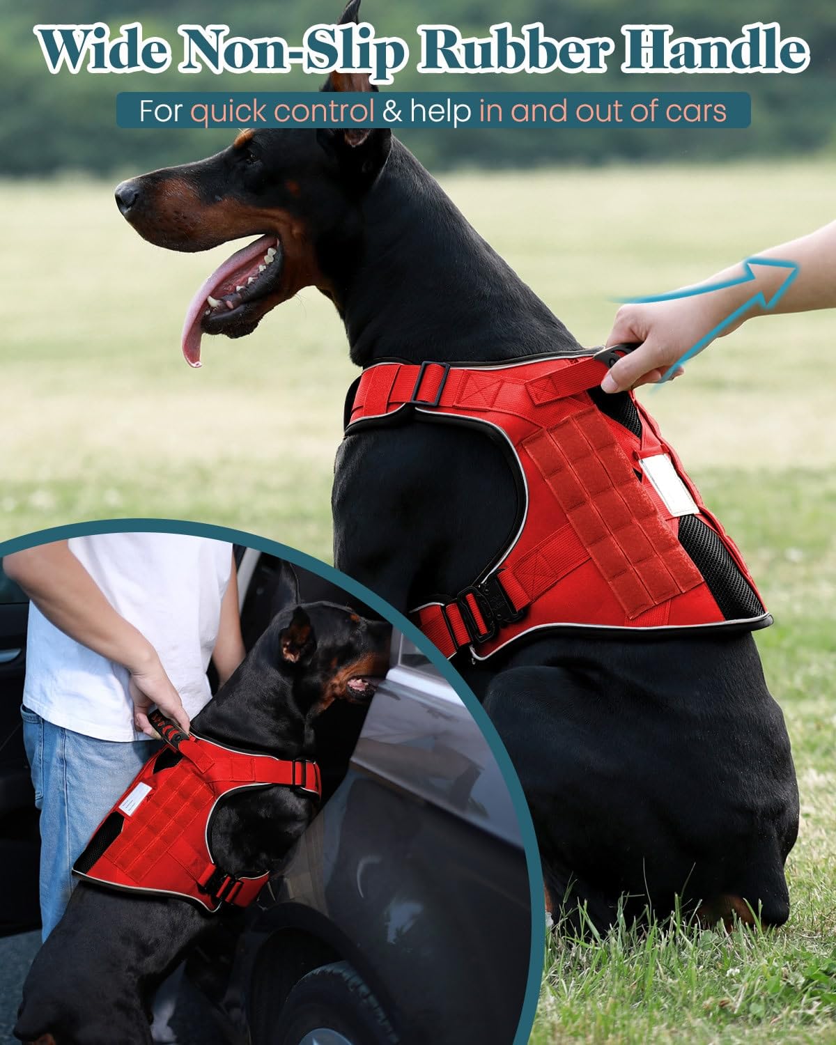 PawistaPal full metal buckles provide secure closure for strong dogs
