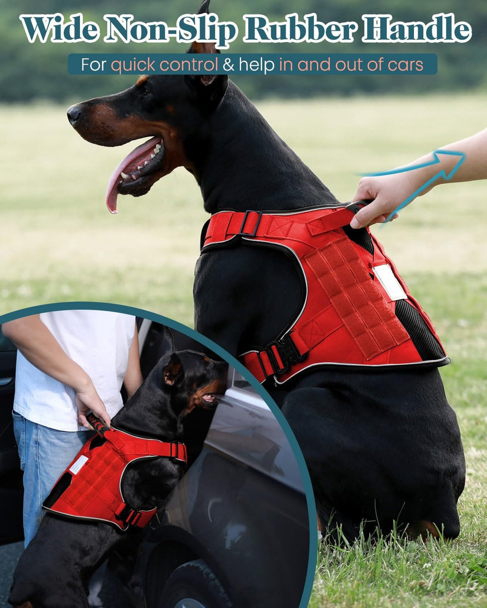 PawistaPal full metal buckles provide secure closure for strong dogs