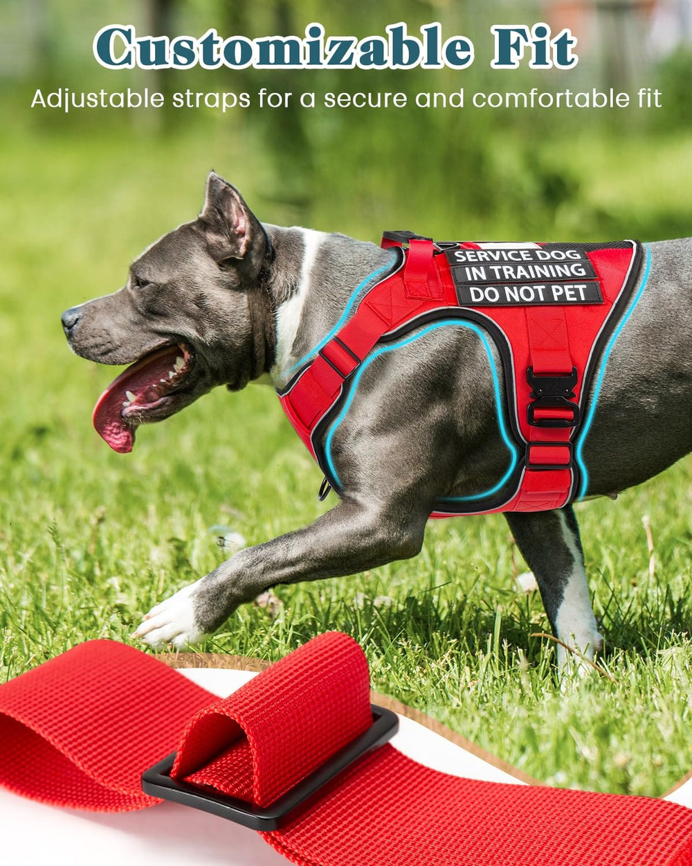 PawistaPal harness with handle offers quick control on busy sidewalks