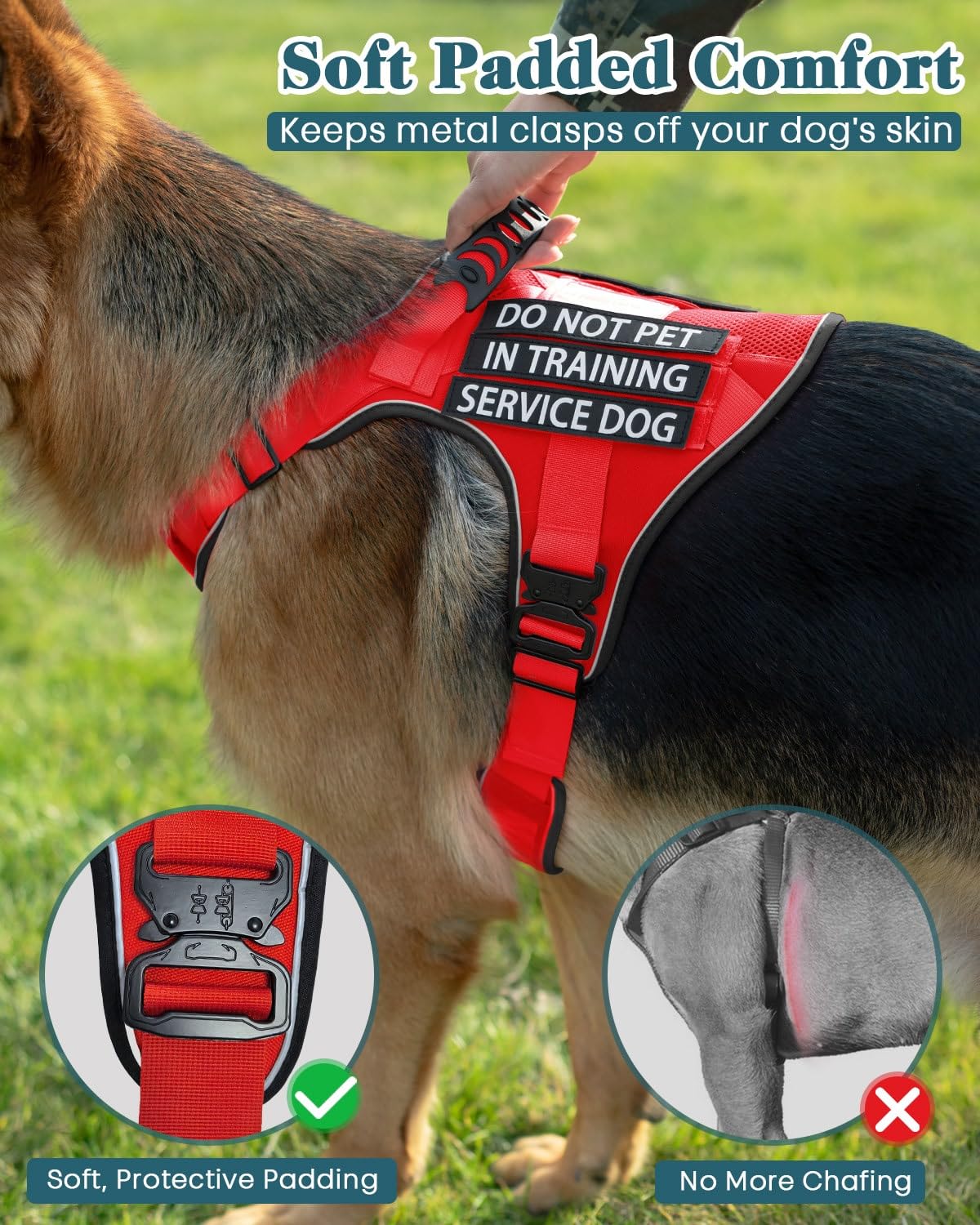PawistaPal durable nylon with reinforced stitching supports long-term use
