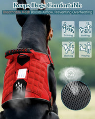 PawistaPal harness with reflective strips for safer night walks