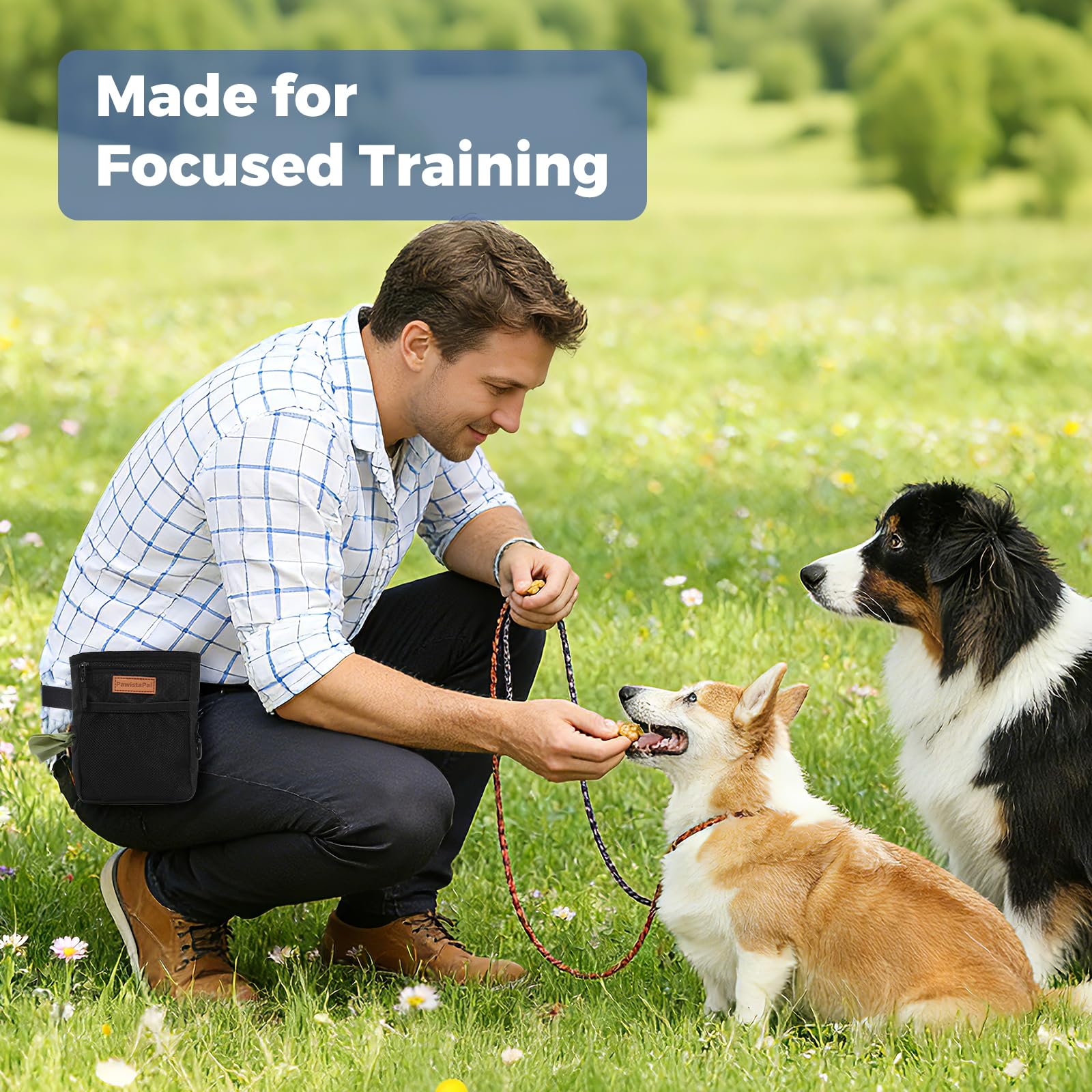 PawistaPal training accessory keeps you ready for rewards with easy reach.
