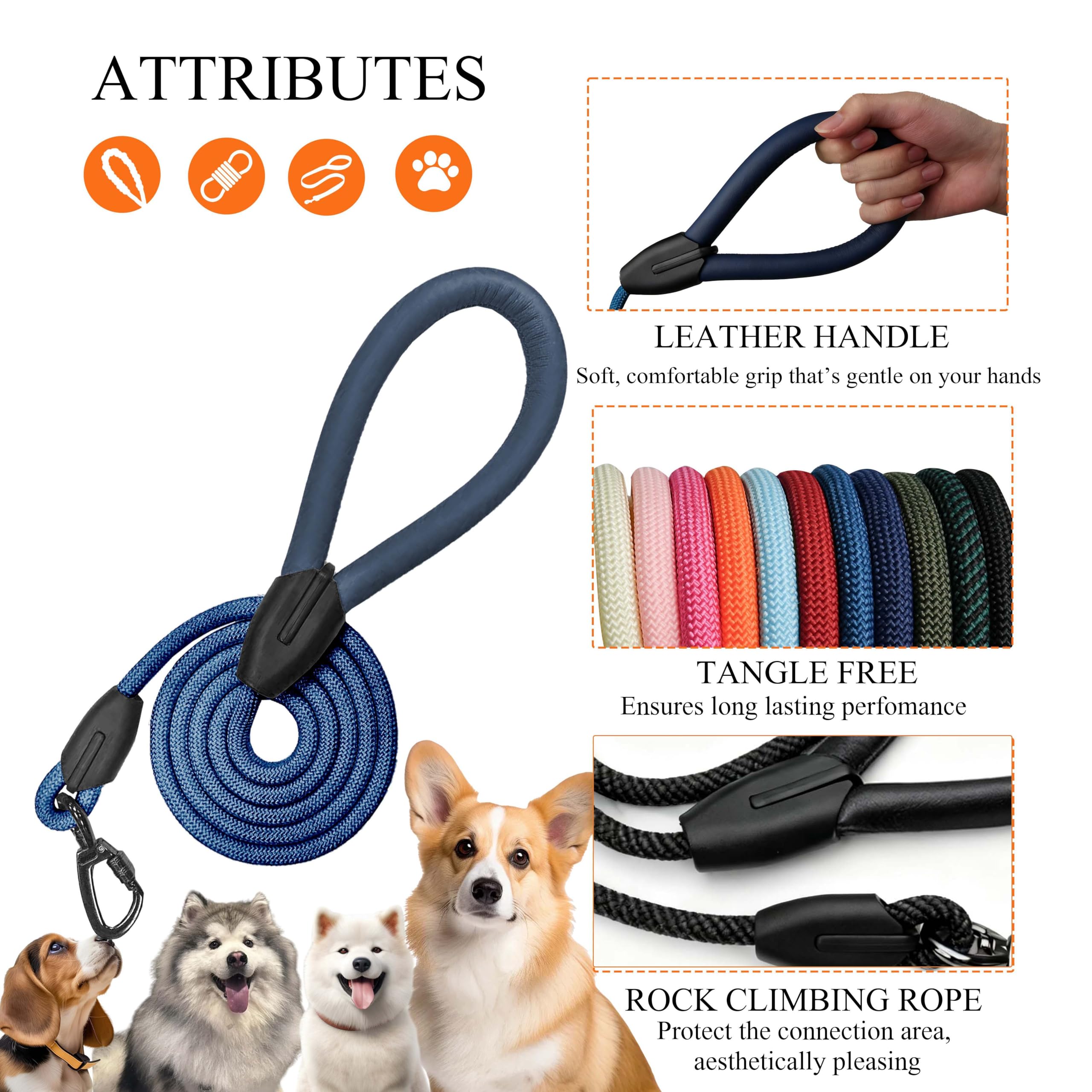Pawkooly durable nylon rope resists wear and tear for everyday adventures.