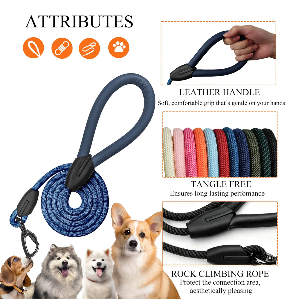 Pawkooly durable nylon rope resists wear and tear for everyday adventures.