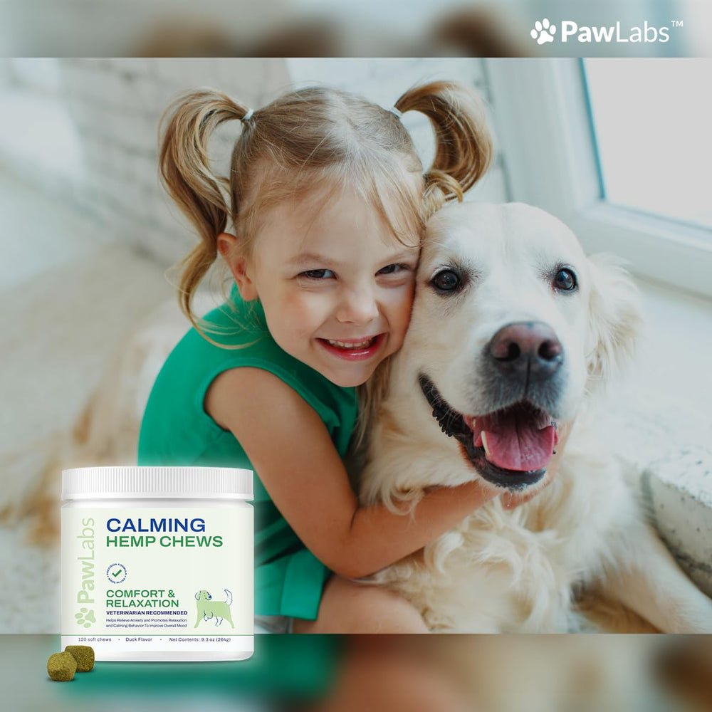 PawLabs Calming Hemp Chews on dog’s paw, representing stress relief.