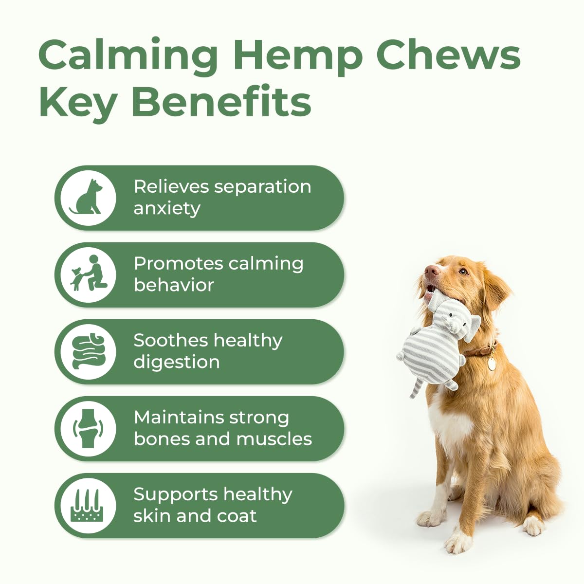 PawLabs Calming Hemp Chews ingredients close-up, featuring hemp and chamomile.