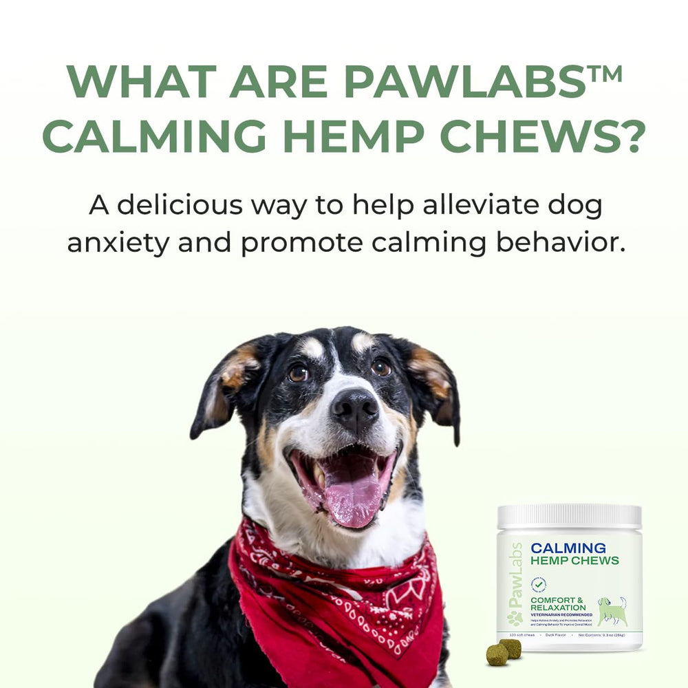 PawLabs Calming Hemp Chews vet-formulated badge on packaging.