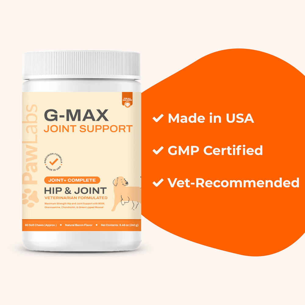 Active dog with Pawlabs G-Max to highlight mobility support.