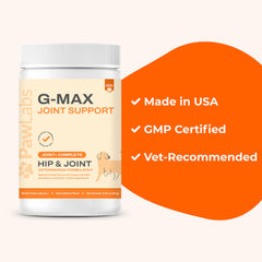Active dog with Pawlabs G-Max to highlight mobility support.