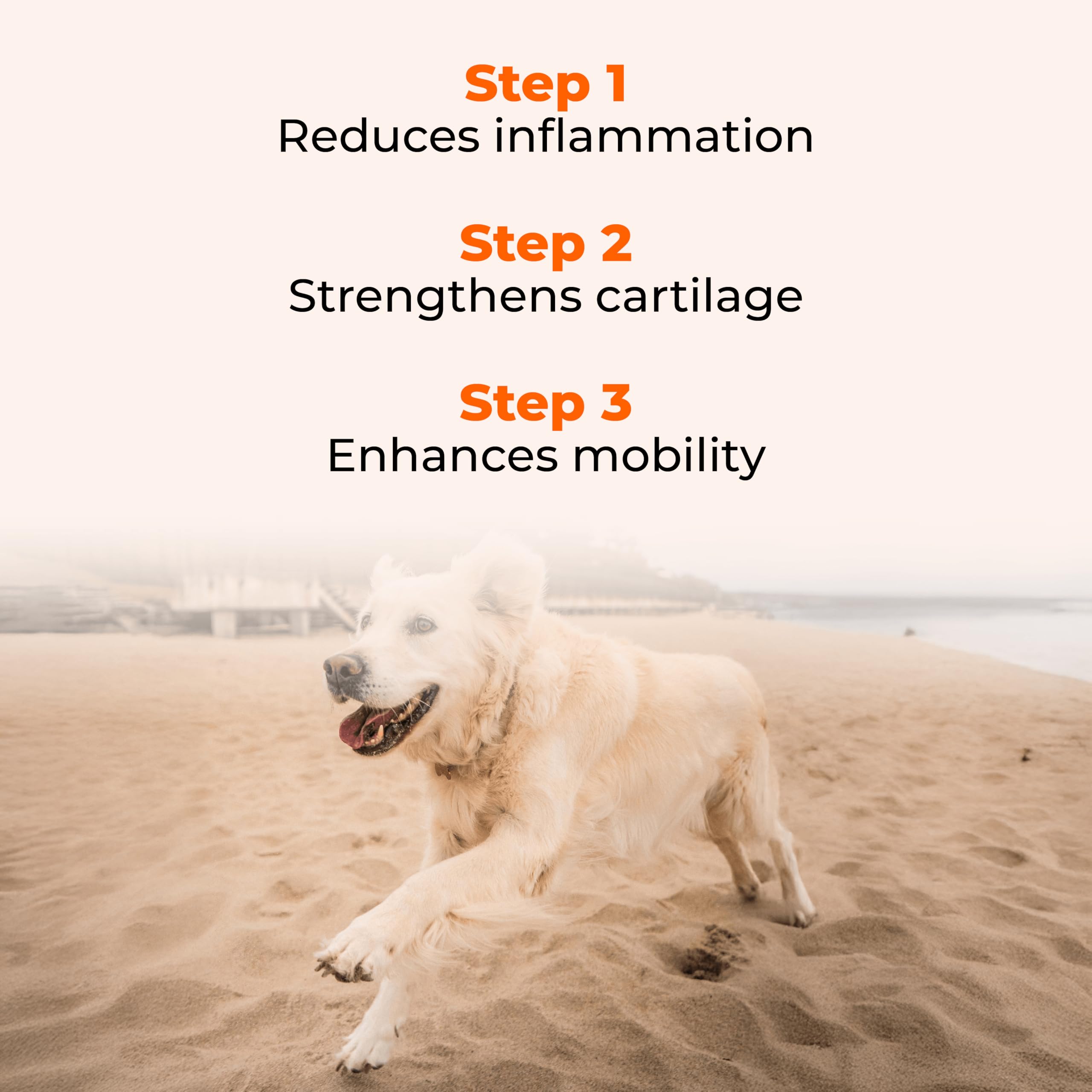 Ingredients include glucosamine and chondroitin for joint health support.