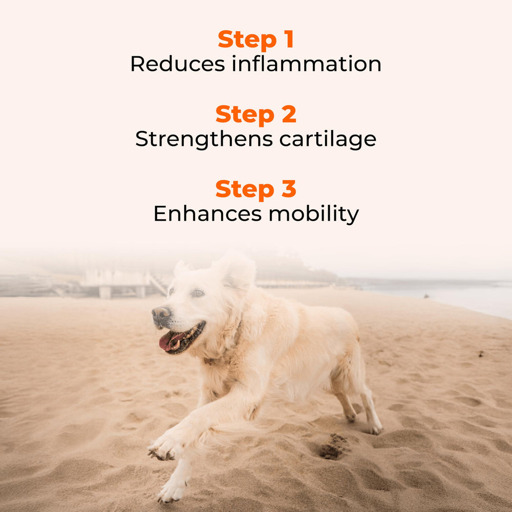 Ingredients include glucosamine and chondroitin for joint health support.