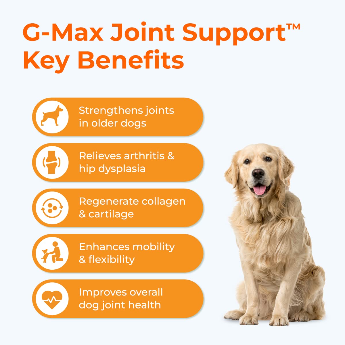 Pawlabs G-Max Joint Chews mobility illustration hints at improved movement.