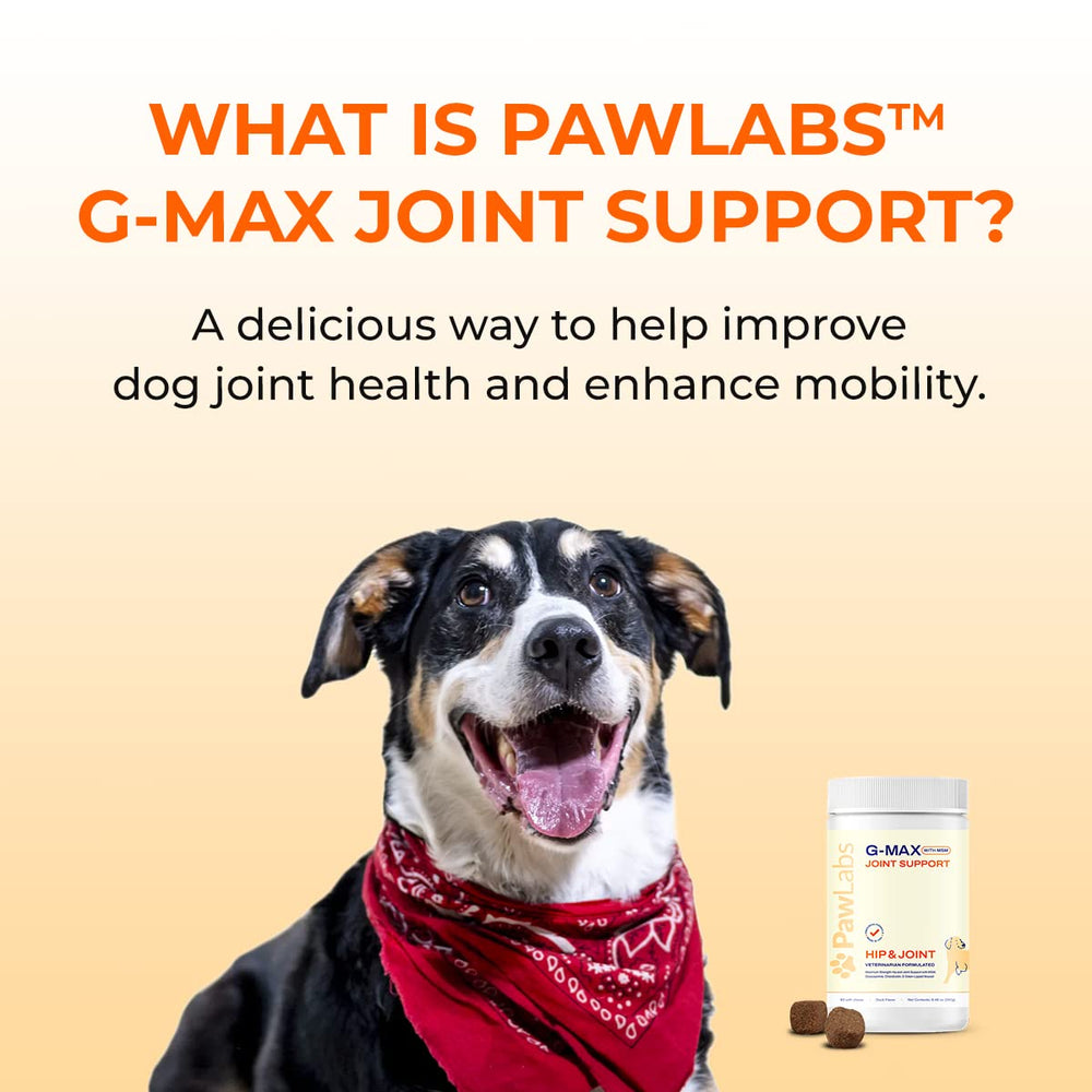 Pawlabs G-Max Joint Chews pet-owner giving treat scene promoting daily routine use.