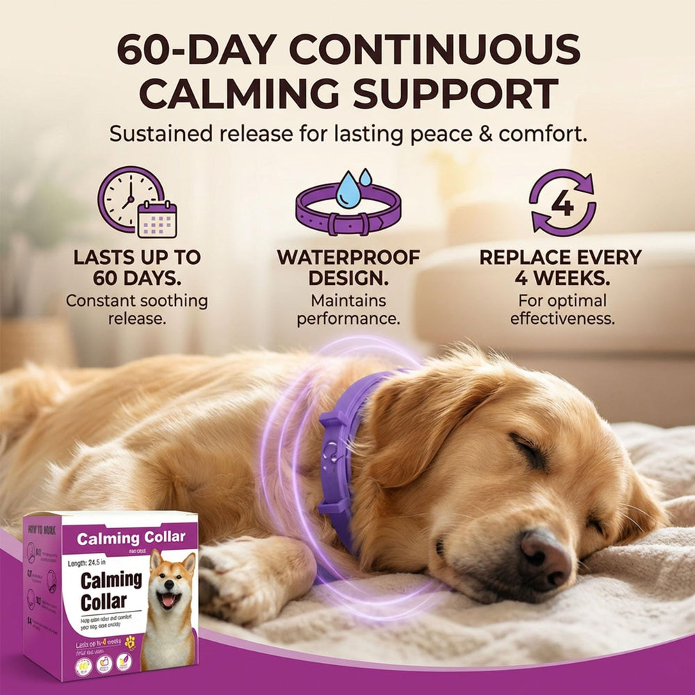 Pawlax four pack calming collars for dogs, ideal for travel and home use