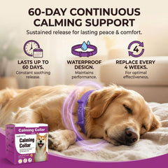 Pawlax four pack calming collars for dogs, ideal for travel and home use