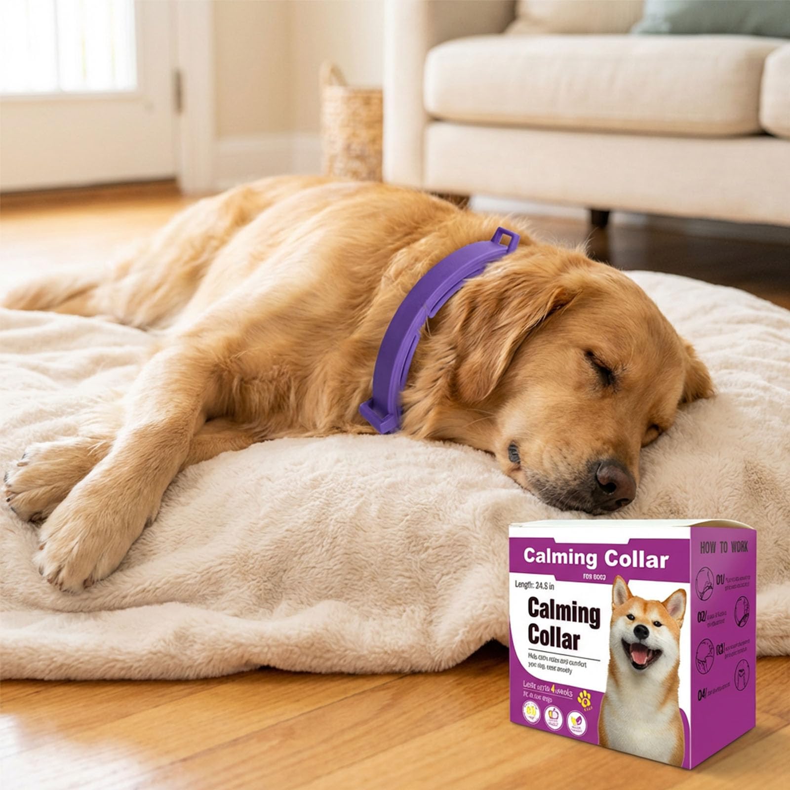 Pawlax non-toxic dog collar with essential oils for daily wear