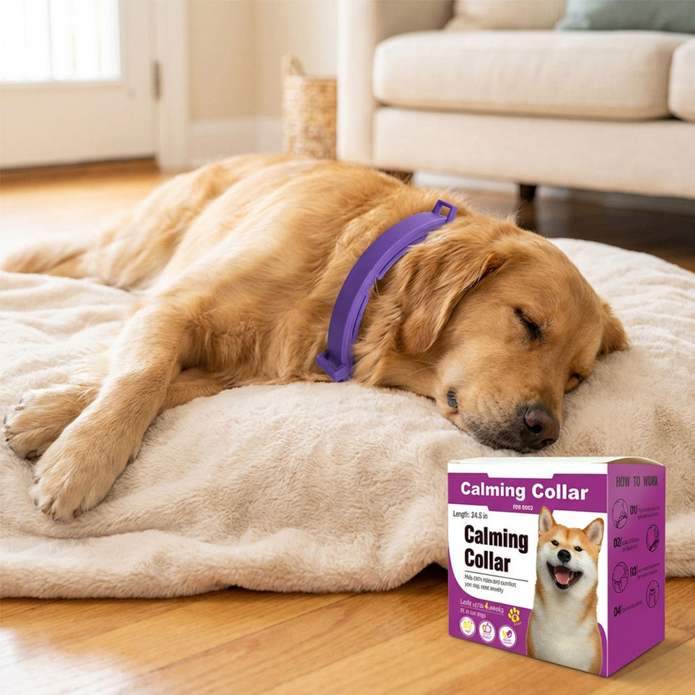 Pawlax non-toxic dog collar with essential oils for daily wear