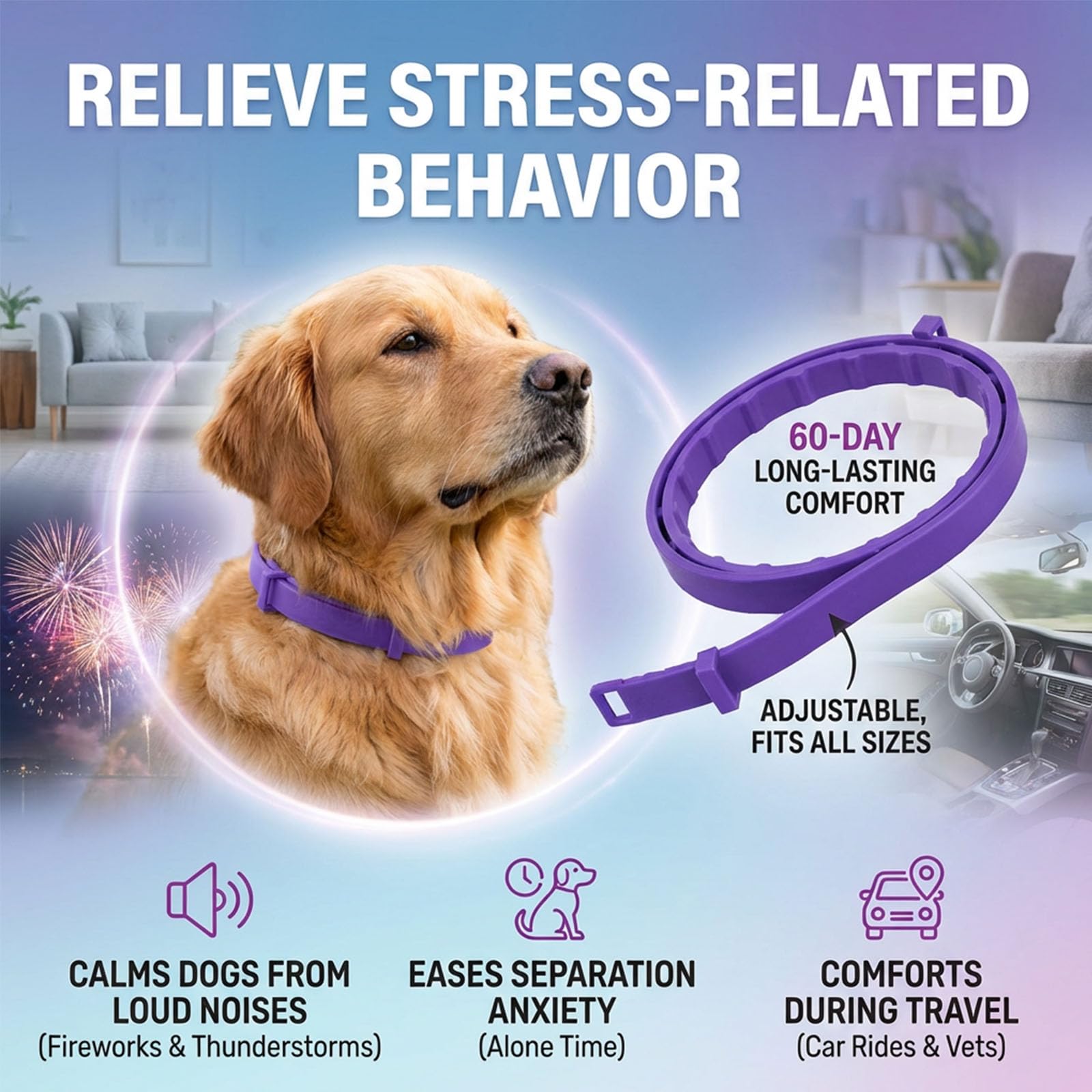 Pawlax water resistant dog collar suitable for daily adventures