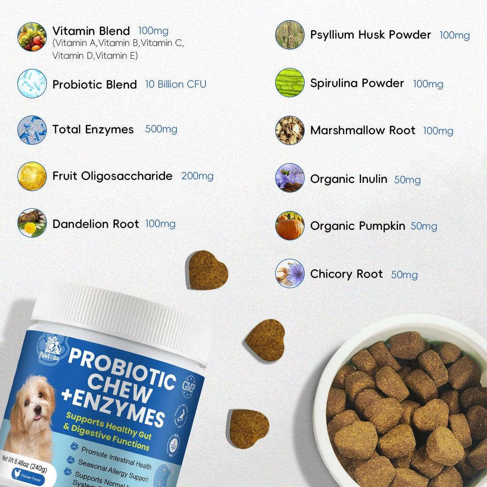 Pawlooza Probiotics dog chew texture close-up highlights crunchy, palatable support for daily dosing.