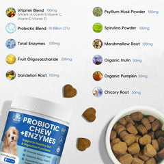 Pawlooza Probiotics dog chew texture close-up highlights crunchy, palatable support for daily dosing.